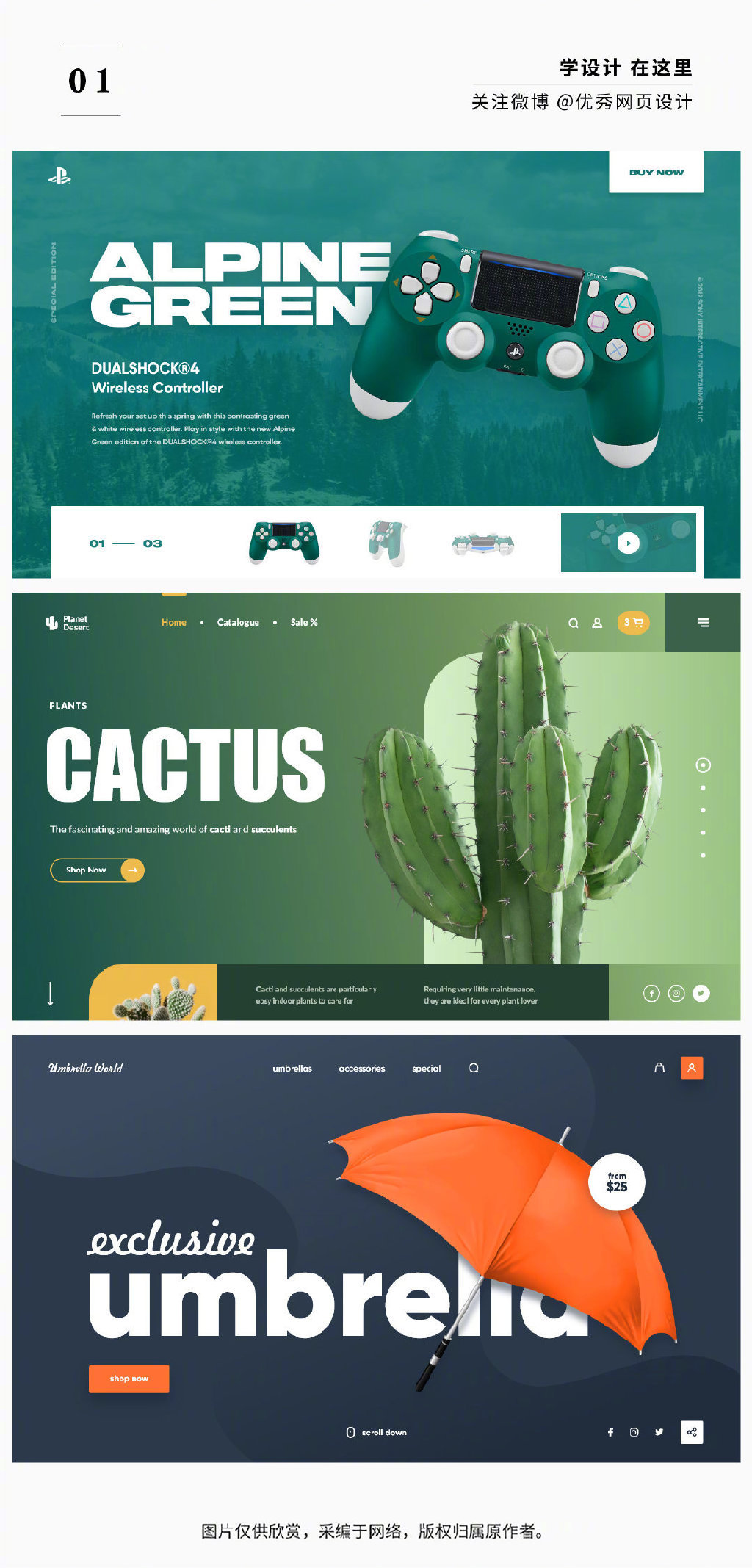 高端大气国际范！从Anna Senkova的网页设计中学习企业营销策划